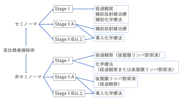 ステージ1の精巣がんとは何ですか?