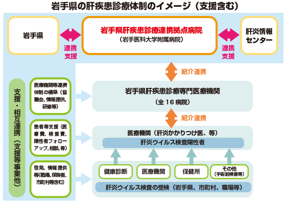 岩手県の肝疾患診療体制のイメージ